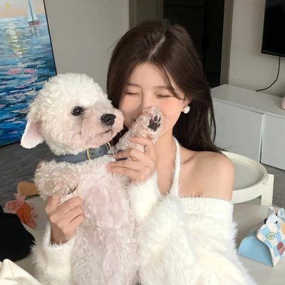 战争姐妹